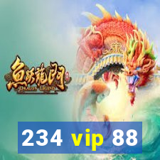 234 vip 88